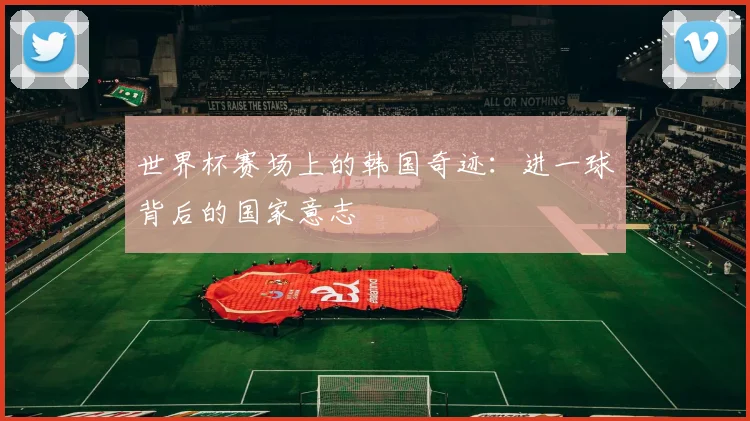 世界杯赛场上的韩国奇迹：进一球背后的国家意志