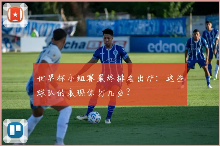世界杯小组赛最终排名出炉：这些球队的表现你打几分？