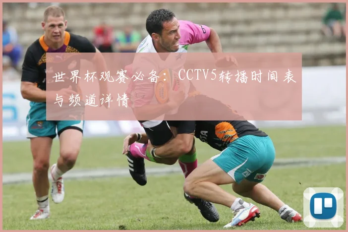 世界杯观赛必备：CCTV5转播时间表与频道详情