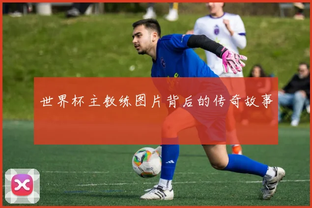 世界杯主教练图片背后的传奇故事
